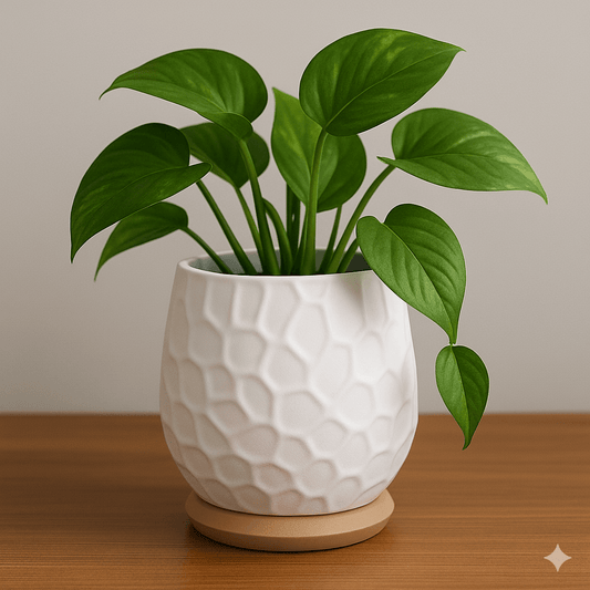 Modern Textured Planter with Screw-On Water Catch Base (3.5" × 4.5")